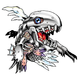 Coelamon