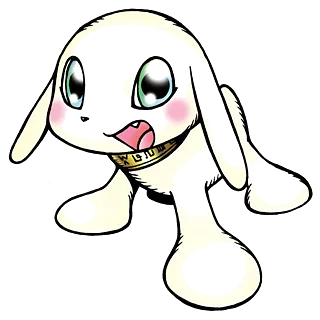 Salamon